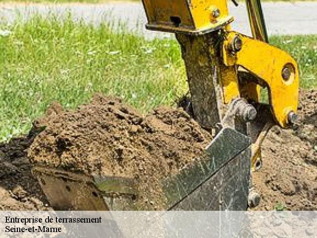 Entreprise de terrassement Seine-et-Marne 