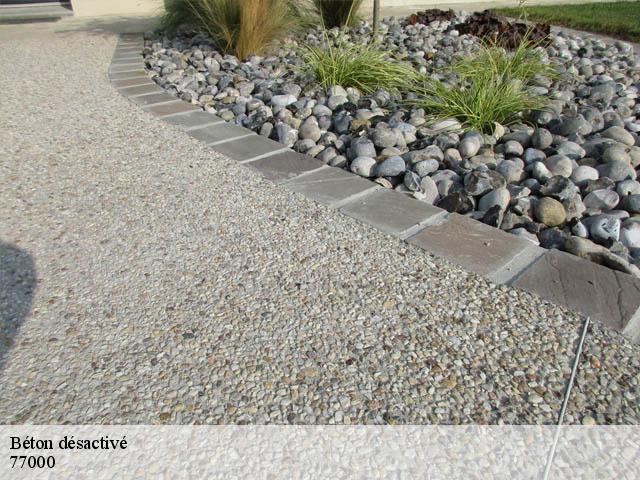 Béton désactivé 77000