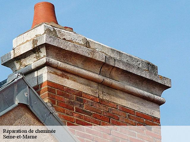 Réparation de cheminée Seine-et-Marne 