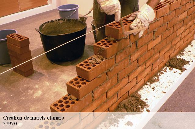 Création de murets et murs 77970